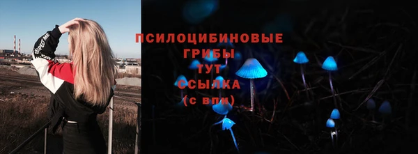 2c-b Аркадак