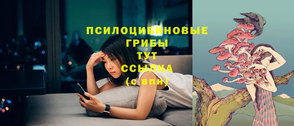 a pvp Арсеньев